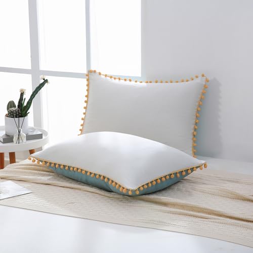 Cream Blue