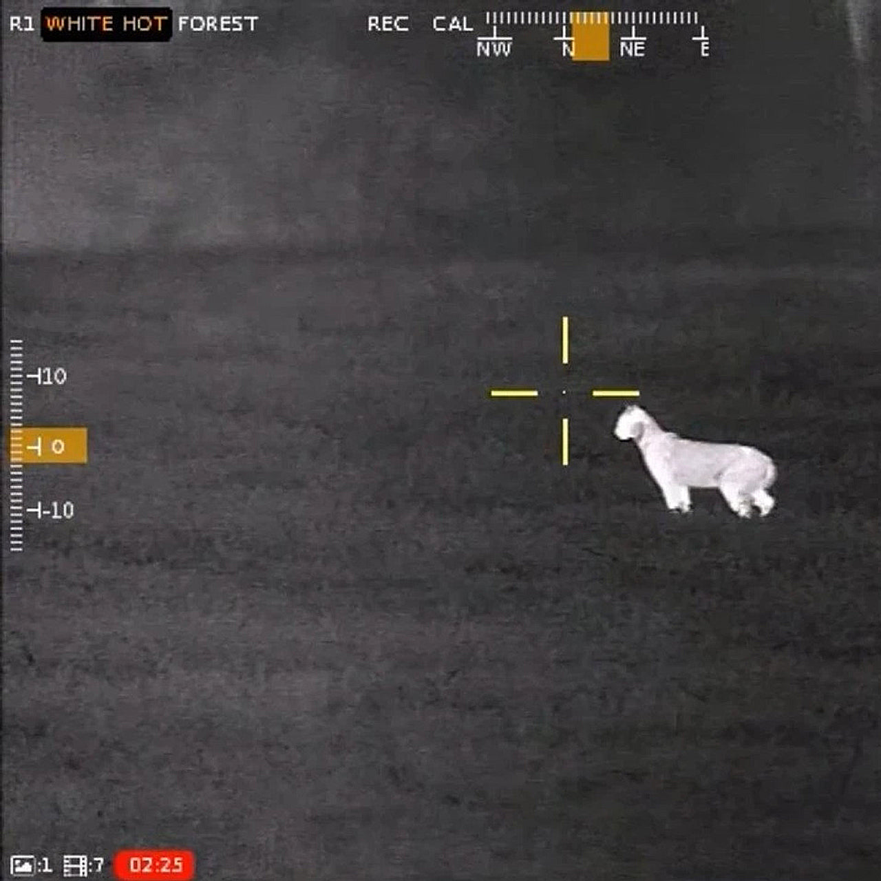 Armasight Contractor 640 4.8x19.2-75mm Thermal Imaging Scope for Rifles - Night Vision Hunting & Tactical Shooting Accessories