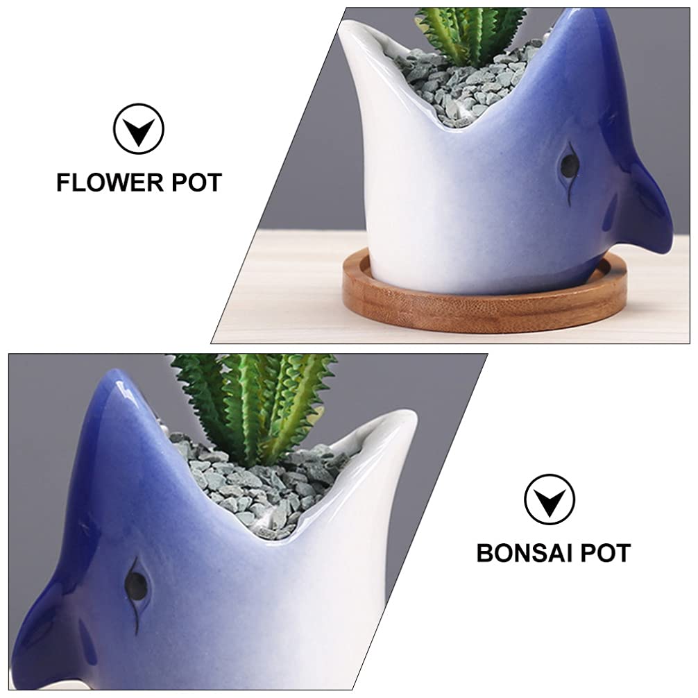 Stylish Hemoton Big Mouth Shark Planter - Ceramic Succulent & Bonsai Pot for Indoor Plants, Novelty Nautical Decor - Perfect for Home, Office, or Gift Giving