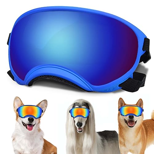 Blue Frame&Blue Lens-Small