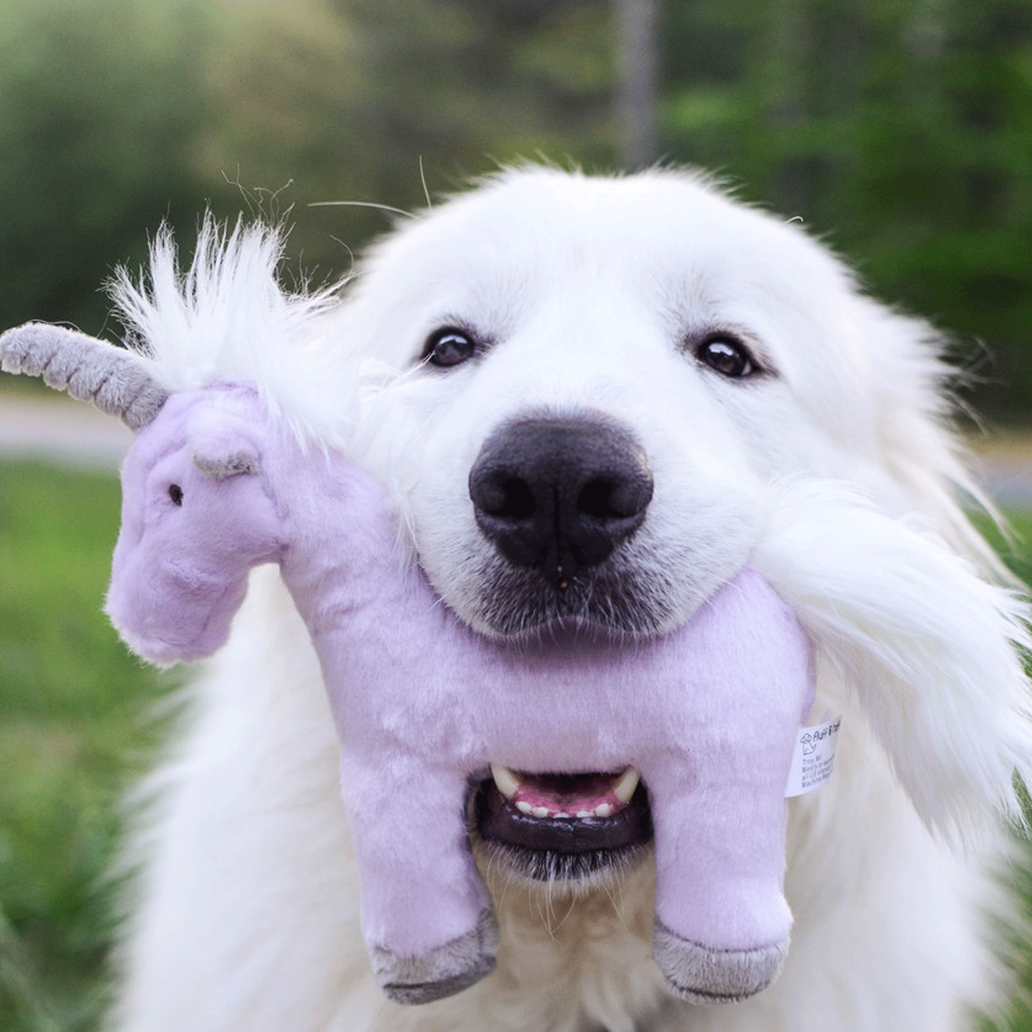 Fluff & Tuff Violet Unicorn Plush Dog Toy - Durable & Cute Purple Stuffed Animal Chew Toy for Small & Medium Dogs - Perfect for Playtime, Training & Cuddling