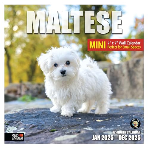 04A - Maltese