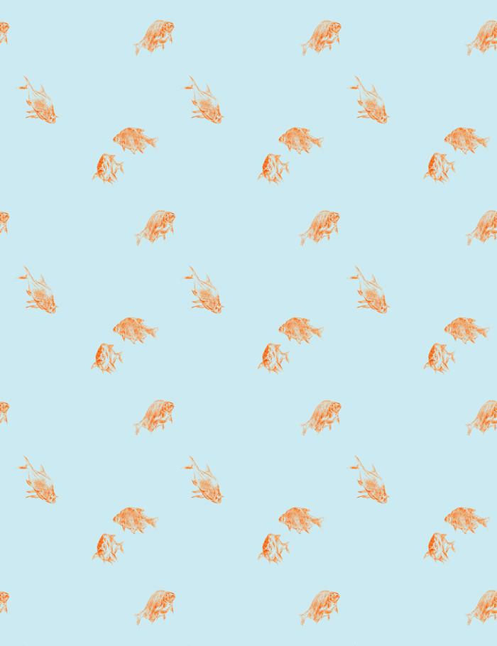 Nathan Turner Goldfish Wallpaper - Glacier Blue Design for Home Decor & Nursery Room Accent