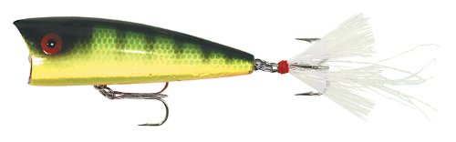 Red Eye Perch