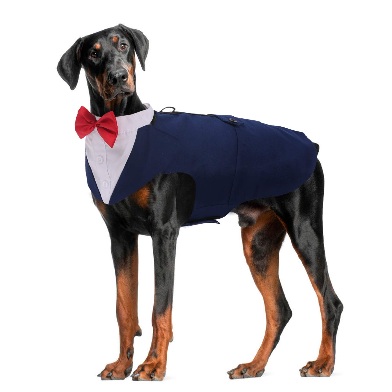 ROZKITCH Dog Tuxedo Costume Set with Collar, Bandana & Bow Tie - Formal Pet Suit for Small Dogs | Perfect for Weddings, Halloween, Birthday Parties & Cosplay | Elegant Blue Dog Apparel for Special Occasions