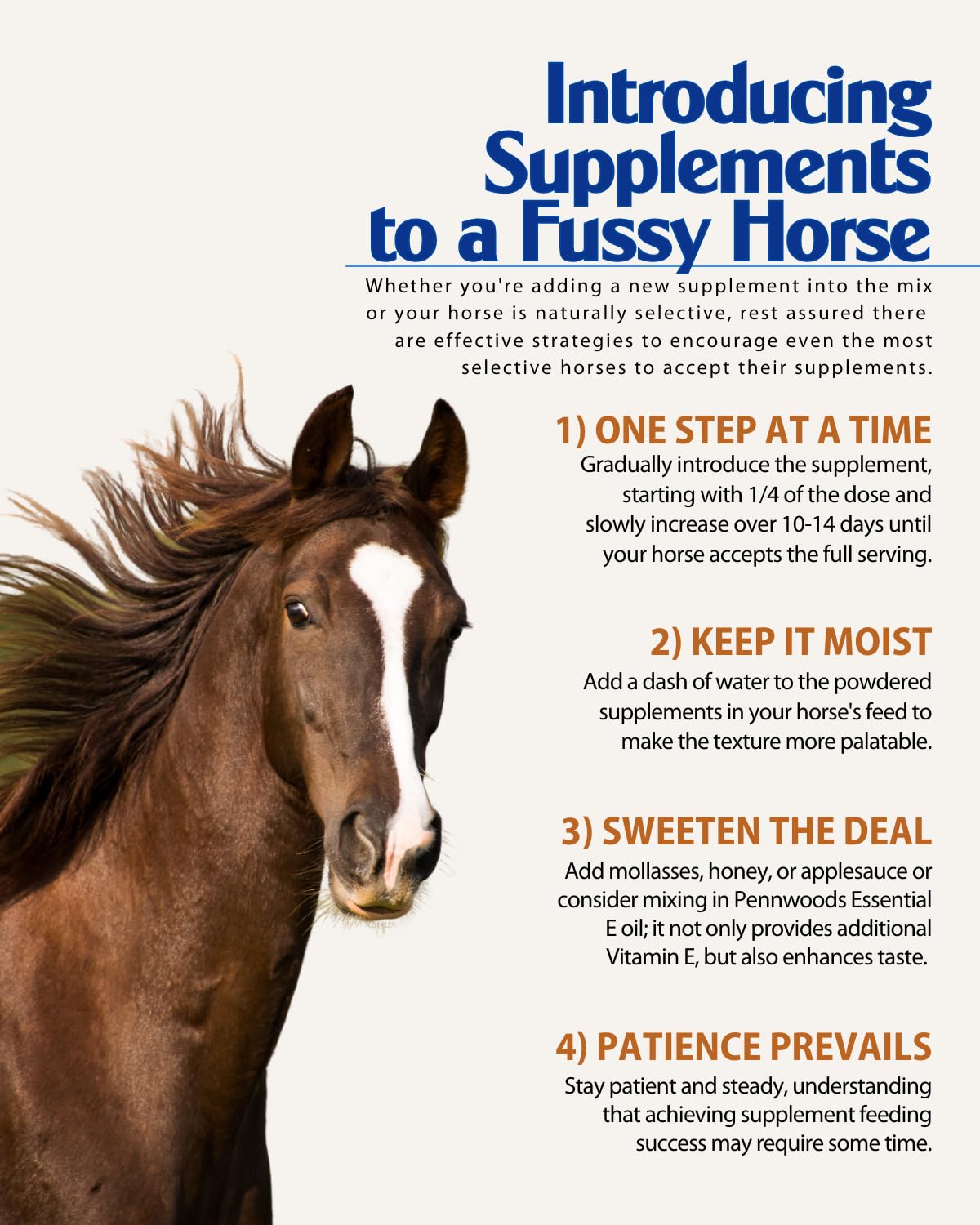 Premium Horse Joint & Gut Health Supplement - Glucosamine, Chondroitin, MSM, Probiotics & Digestive Enzymes for Mobility, Digestion & Immune Support - 5lb Bag - Ideal for Senior Horses & Performance Equines