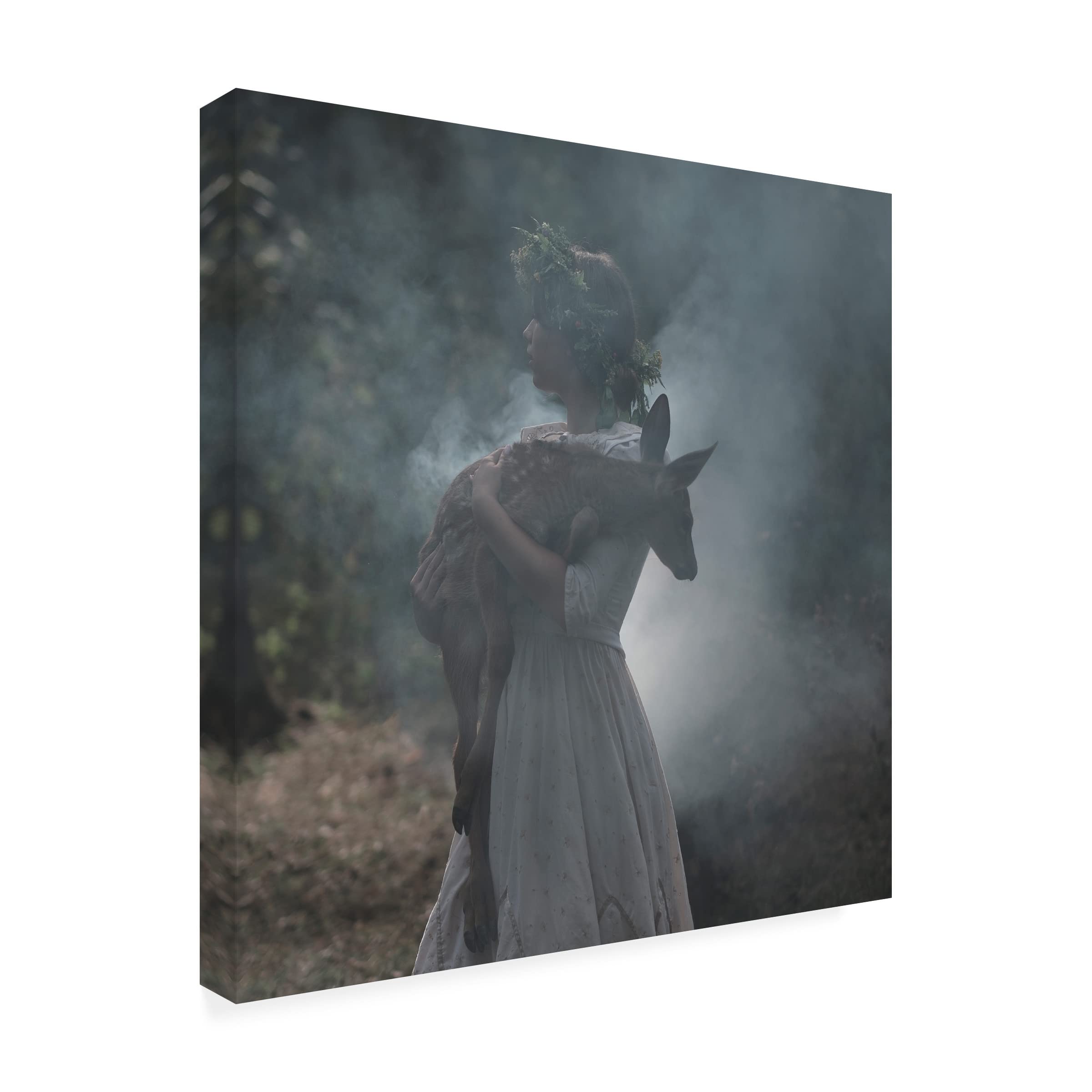 Trademark Fine Art 'Doe' Canvas Wall Art by Olga Barantseva - Elegant Deer Painting for Living Room, Bedroom & Office Decor
