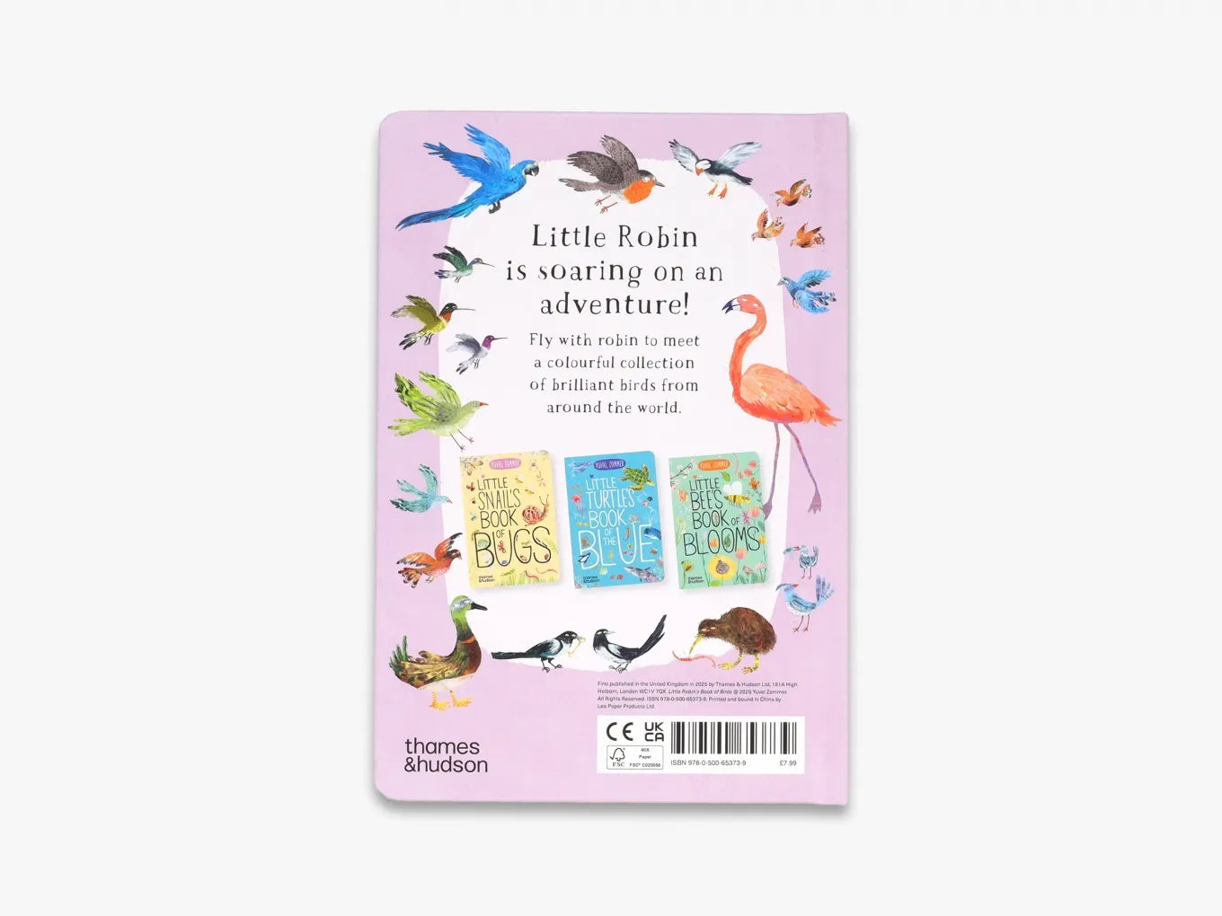 Little Robin's Book of Birds - The Big Book Series | Educational Children's Nature Guide | Perfect for Homeschooling & Classroom Learning