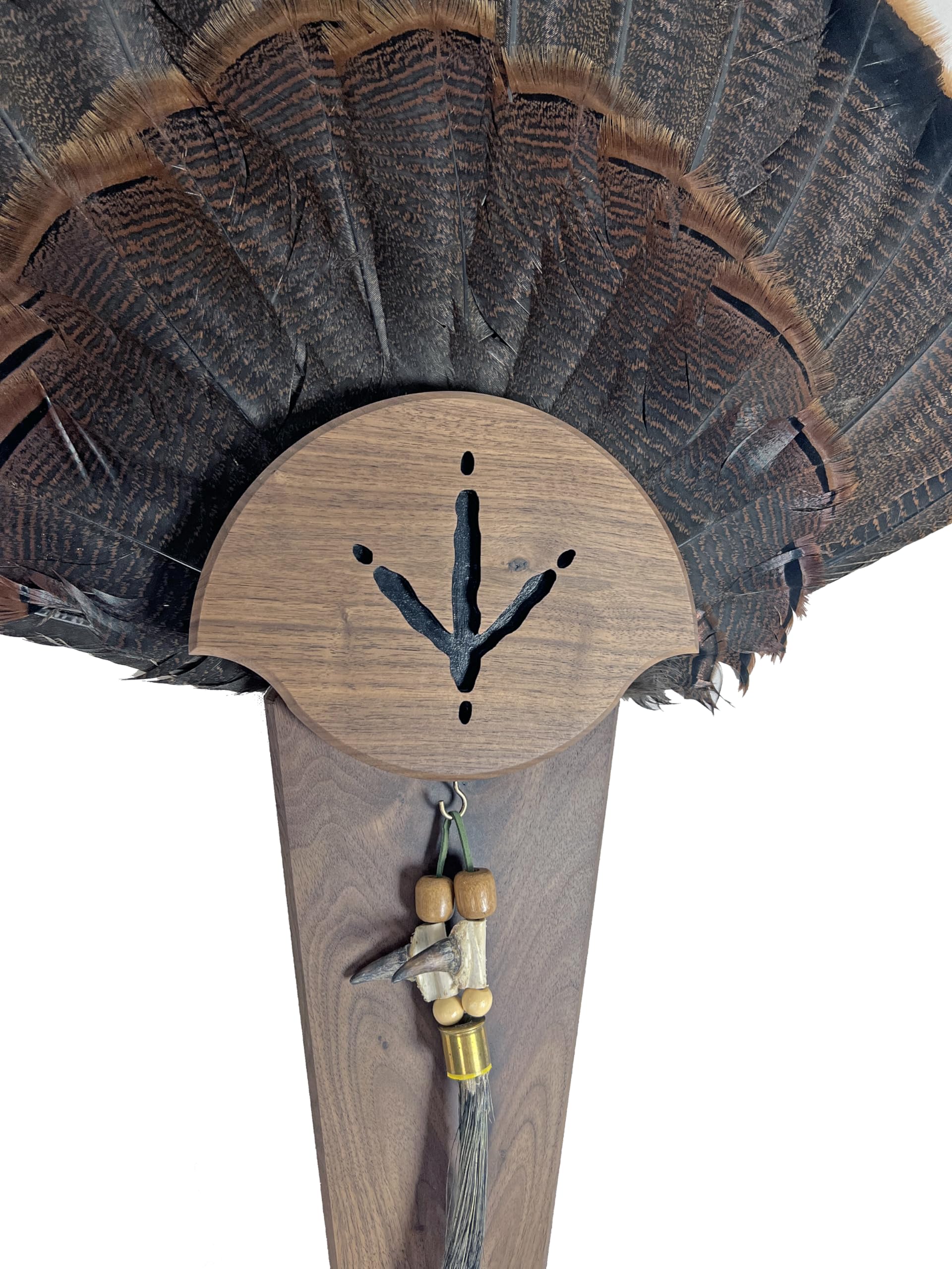 Customizable Turkey Track Turkey Tail Mounting Kit with Beard & Spur Display Options - Perfect for Hunting Trophies, Cabin Decor, and Outdoor Enthusiasts