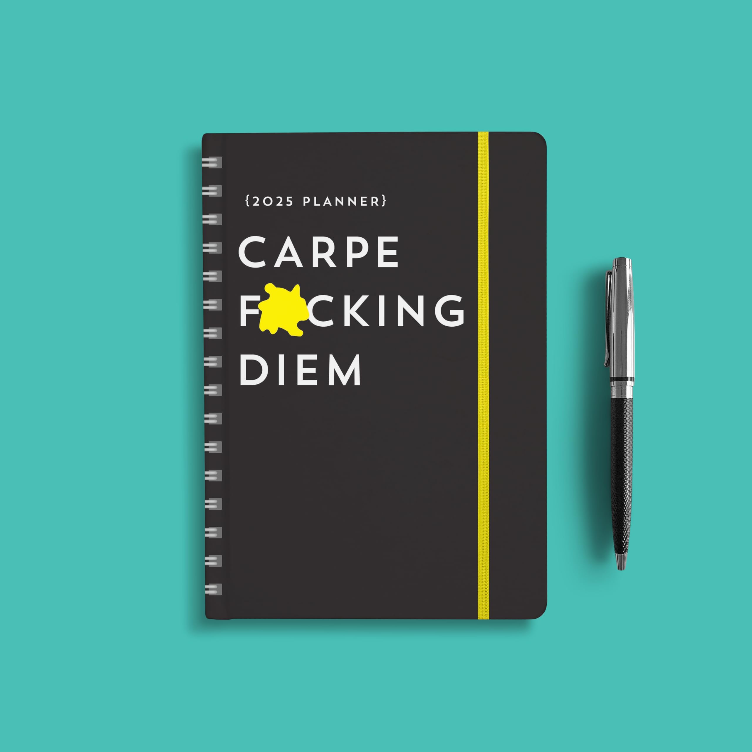 2025 Carpe F*cking Diem Planner - 17-Month Weekly Organizer with Motivational Stickers (Through December 2025) | Perfect for Goal Setting, Productivity & Stress Relief | Funny Calendar & Gift for Professionals, Students & Entrepreneurs