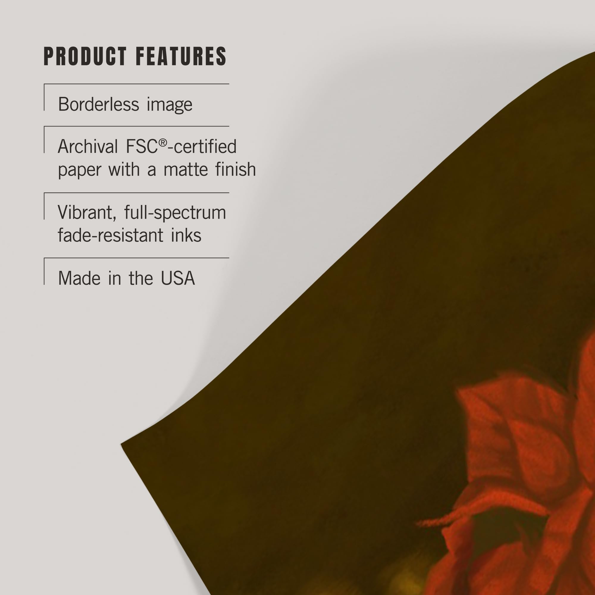 Lantern Press 16x24 Inch Giclee Art Print - Premium Poinsettia Oil Painting Wall Decor for Living Room, Bedroom & Office