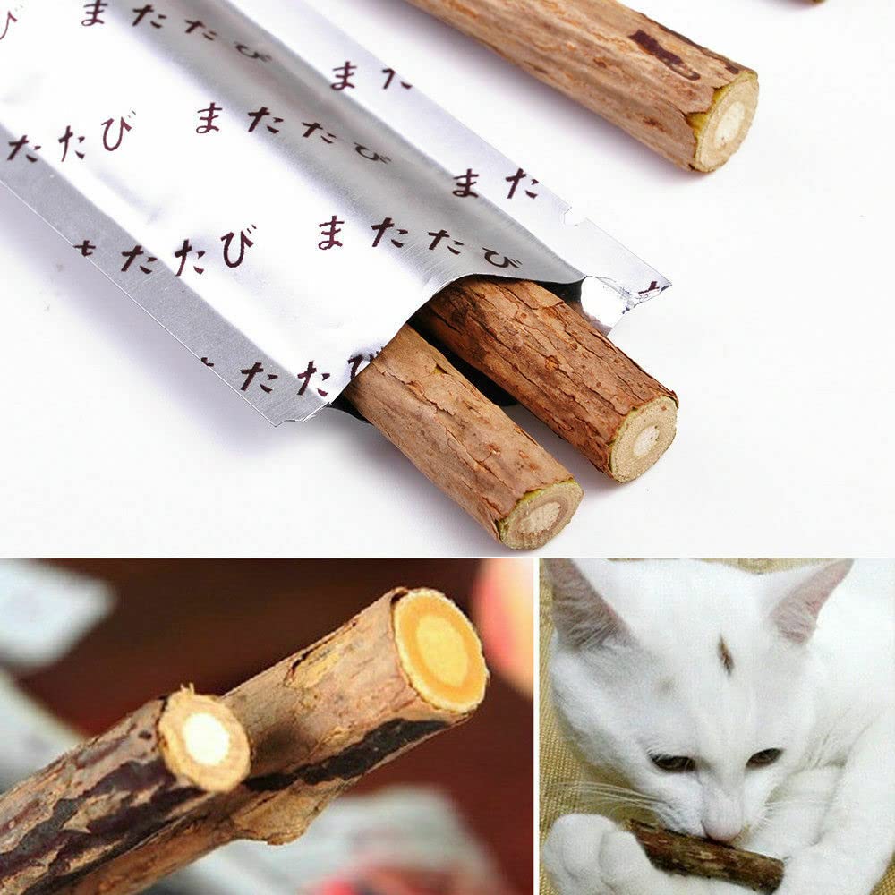 20pcs Natural Matatabi Cat Chew Sticks - Catnip Dental Treats for Teeth Cleaning & Molar Care - Fun Cat Toys for Indoor Play & Stress Relief