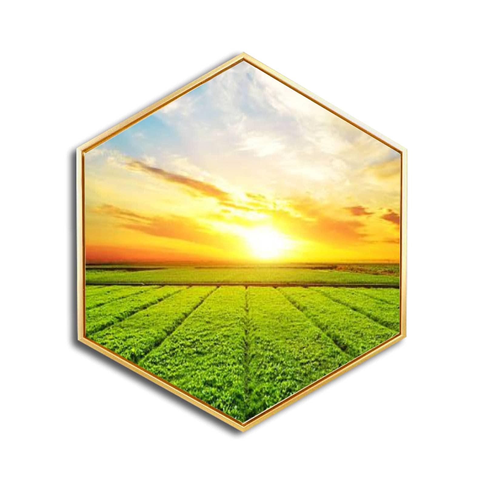 Golden Framed Canvas Wall Art - Sunset Over Wheat Field Landscape Giclee Print, Modern Minimalist Hexagon Wall Decor for Living Room, Bedroom & Office - Ready to Hang Home Decoration