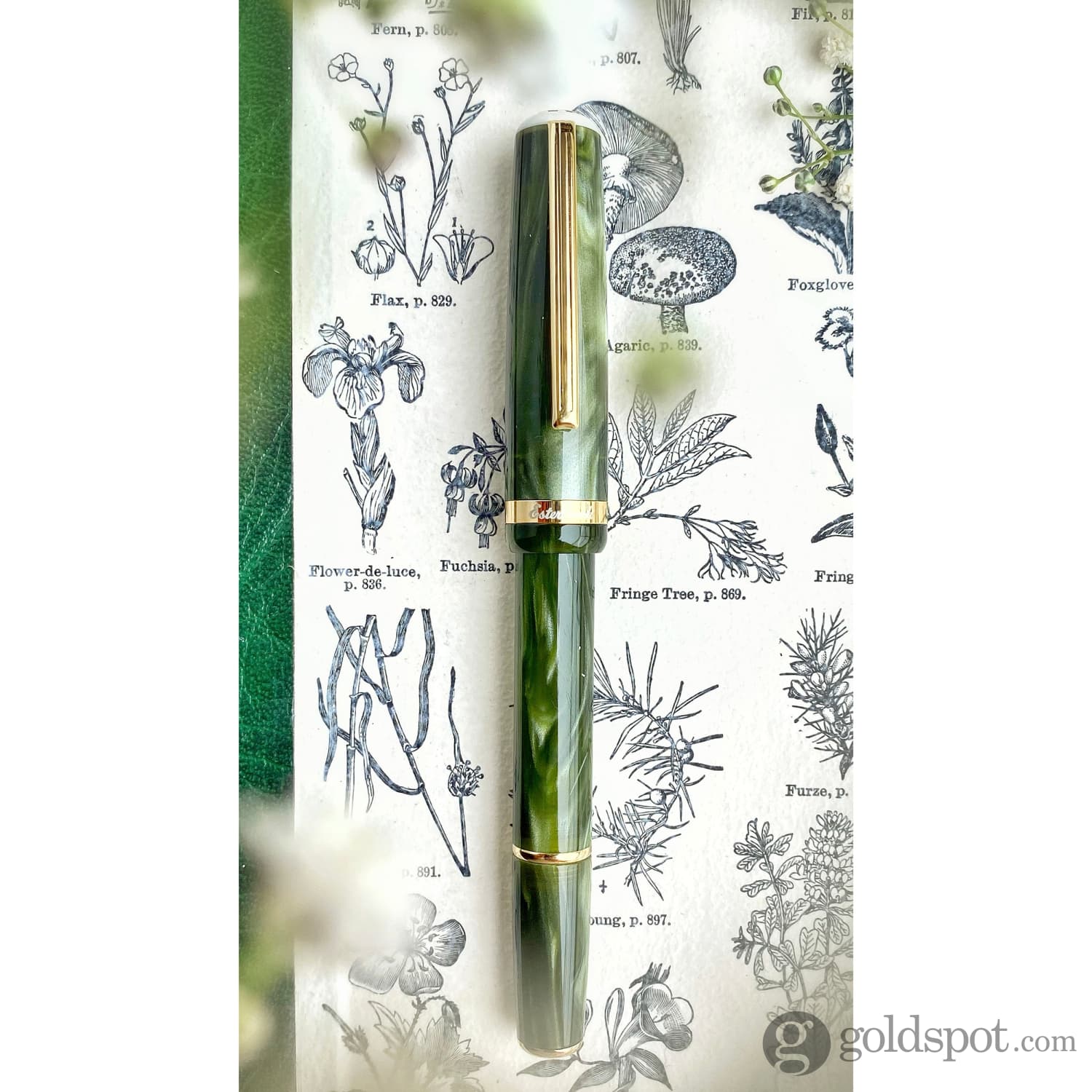 Esterbrook JR Pocket Fountain Pen - Palm Green | Compact & Stylish Writing Tool for Journaling, Note-Taking & Everyday Carry (EDC)