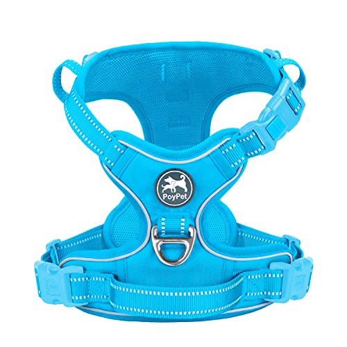 Blue(Matching Trim)