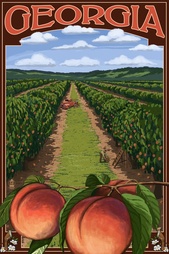 Georgia Peach Orchard Scene - 16x24 Inch Gallery Quality Metal Wall Art, Rustic Aluminum Home Decor for Living Room, Bedroom & Office
