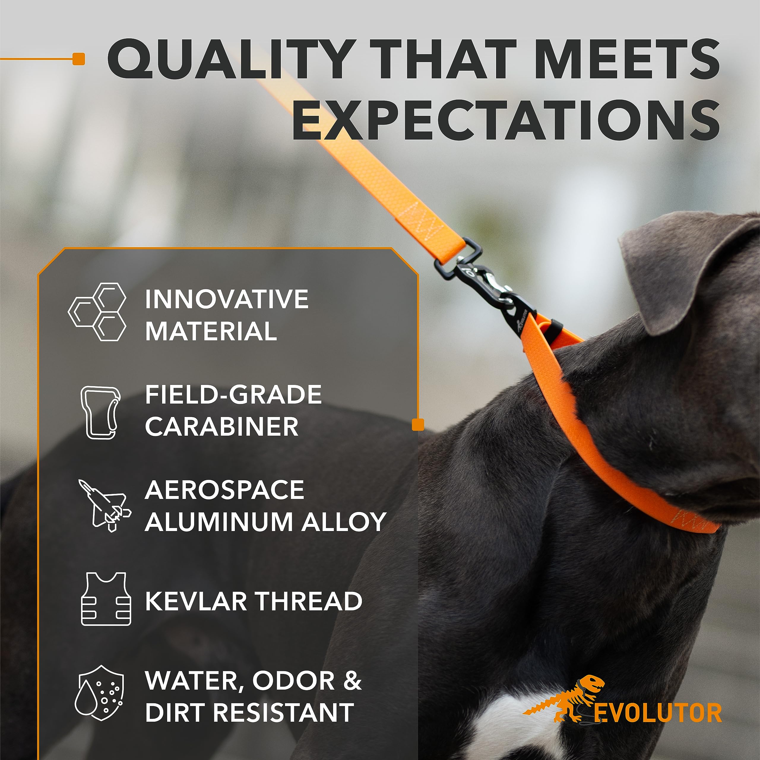 COLLAR Evolutor Extra Heavy Duty 10 Ft Dog Leash - Durable & Strong Leash for Large, Medium & Small Breed Dogs - Reflective Walking Pet Leash (Orange) - Perfect for Training, Hiking & Outdoor Adventures