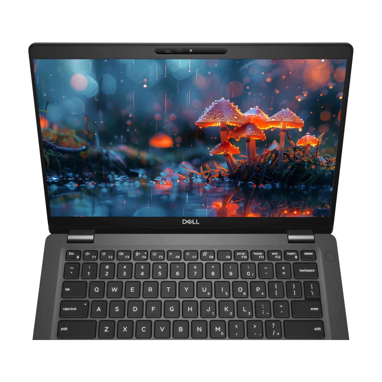 Dell Latitude 5300 13.3'' Laptop - Intel Core i5-8365U, 16GB RAM, 512GB SSD, Windows 10 Pro (Renewed) | Business Notebook with Webcam, WiFi, USB-C & Ethernet | Ideal for Remote Work, Office & School