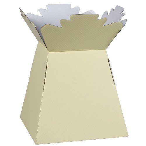APAC Ivory Living Vase Flower Box - Elegant Floral Bouquet Carrier & Sweet Tree Gift Box for Home Decor, Wedding Centerpieces & Romantic Gifts