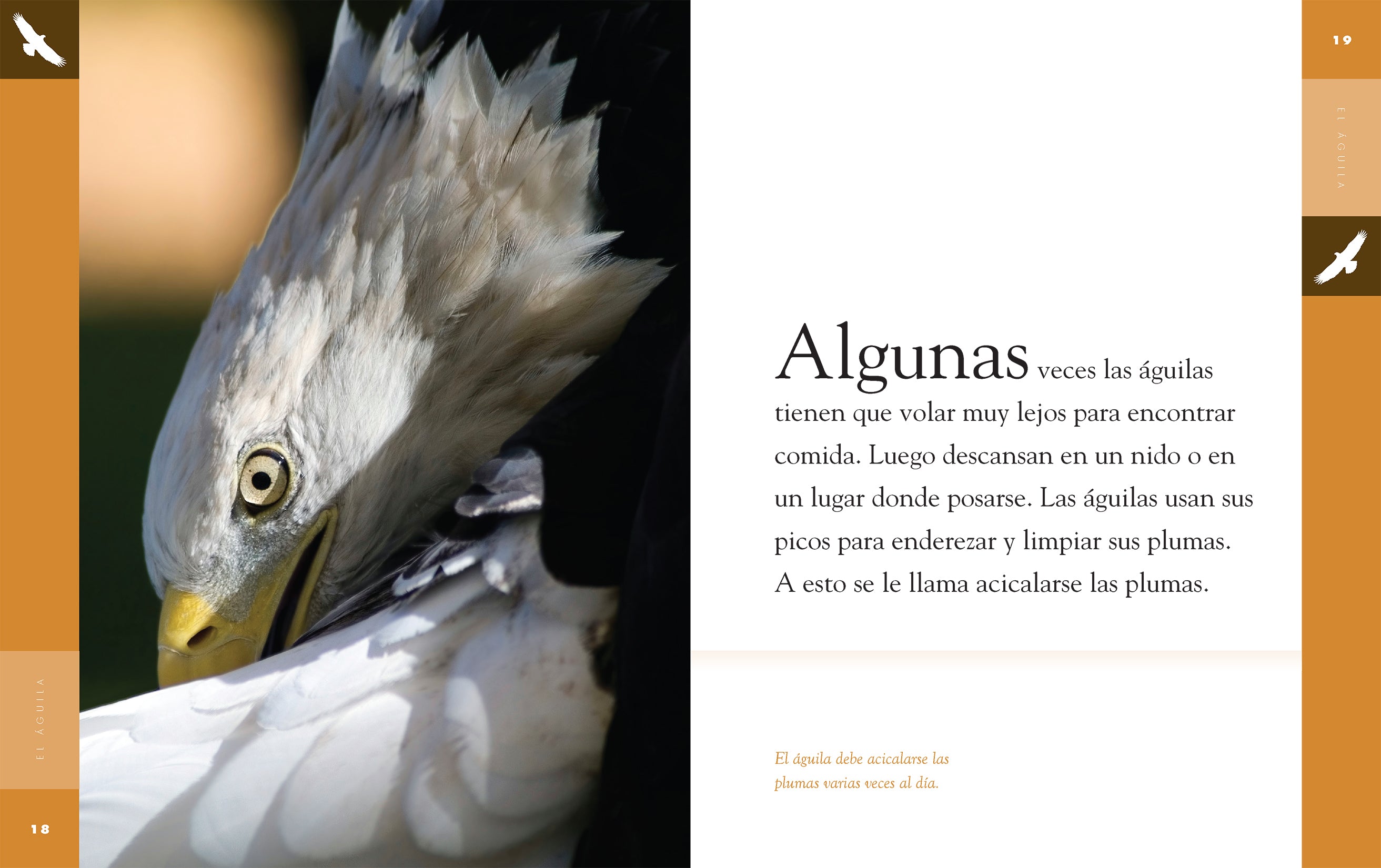 El Aguila 9781640264649 - Spanish Book for Kids & Adults - Perfect for Learning Spanish, Gifts, and Classroom Use