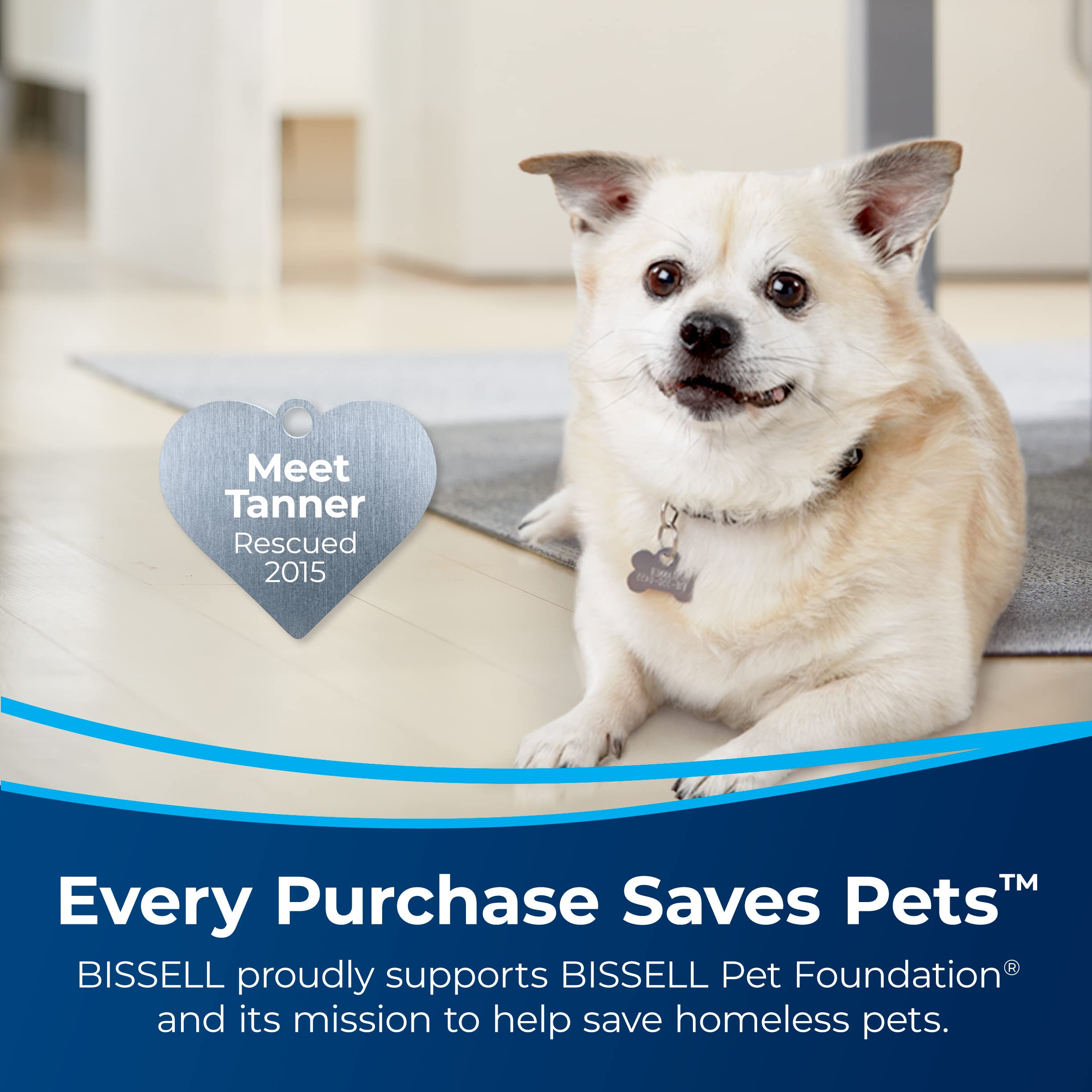 BISSELL Pet Stain Eraser Plus Cordless Carpet Cleaner with Removable Scrub Brush & PET PRO OXY Spot & Stain Formula - Portable Deep Cleaner for Pet Hair, Urine, Odor Removal - Perfect for Carpets, Upholstery, and Pet Accidents