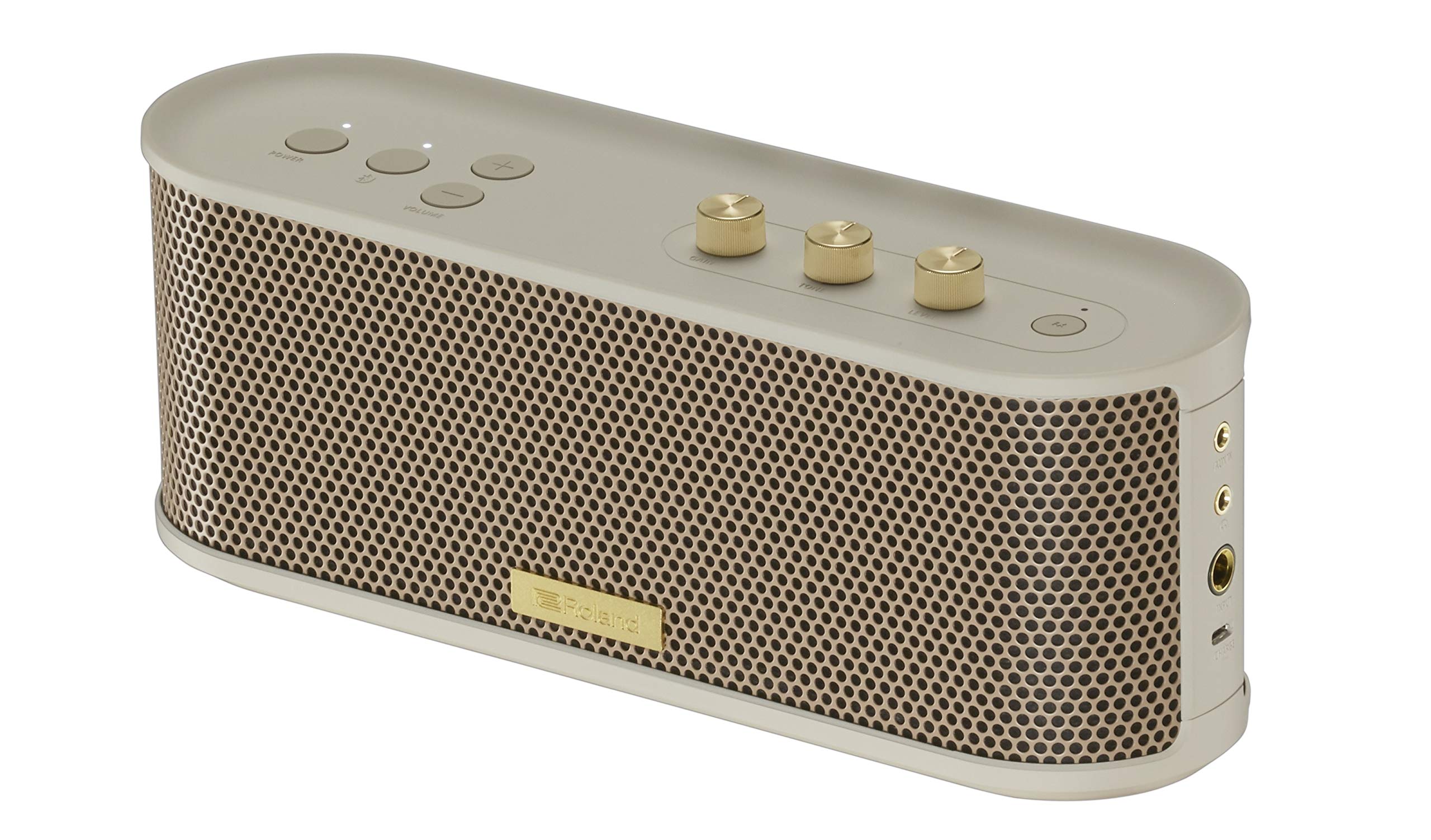 Roland BTM-1 Portable Bluetooth Speaker with Guitar Input - Perfect for Musicians, Outdoor Performances & Home Practice