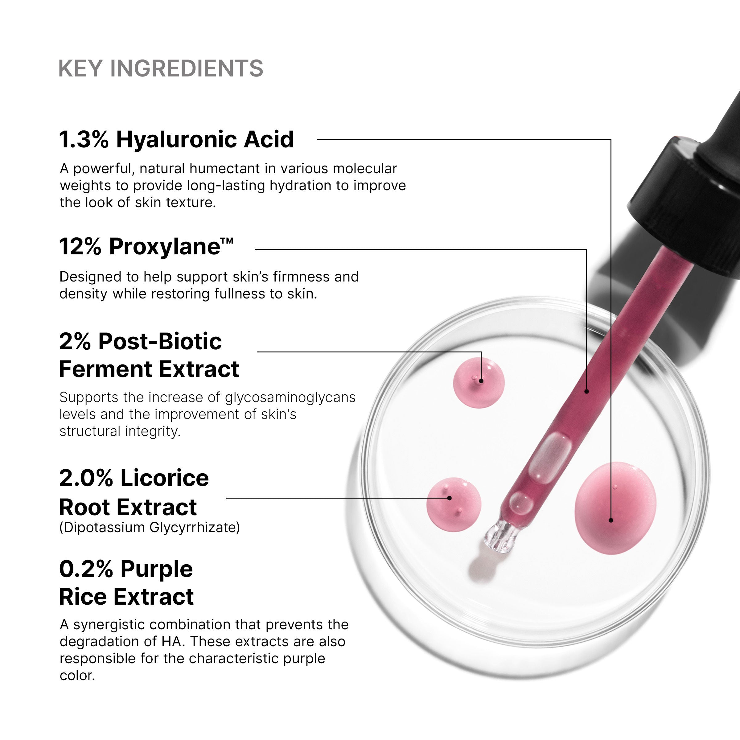 HA Intensifier Multi Glycan Serum - Anti-Aging Hydrating Face Treatment for Wrinkles & Fine Lines | Perfect for Daily Skincare Routine & Nighttime Use