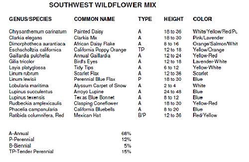 Non-GMO Bulk Southwest Wildflower Seed Mix - 24 Native Species (1/2 Pound) for Pollinator Gardens, Landscaping & Eco-Friendly Yards