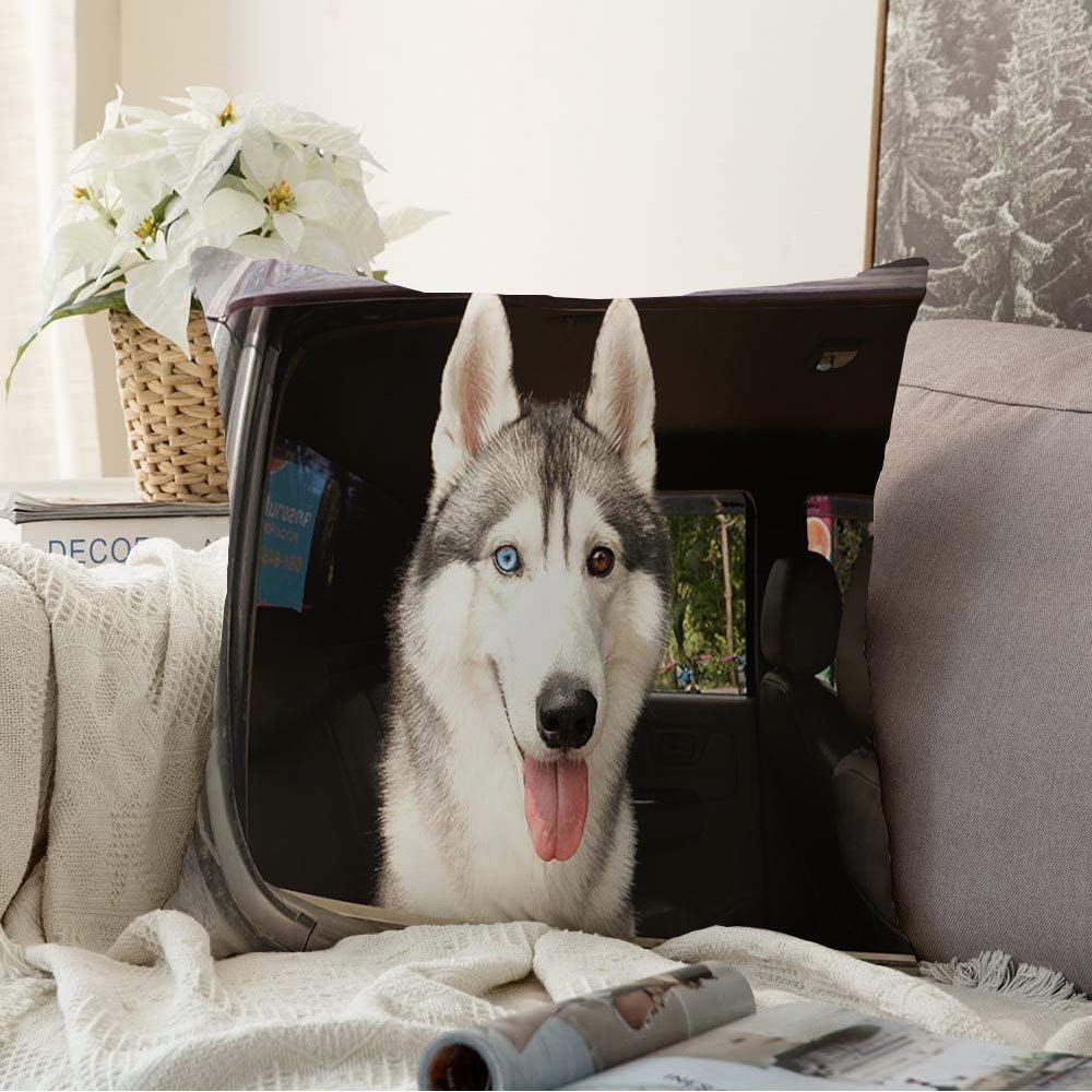 **Brown Siberian Husky Dog Pillow Cover - 16x16 Inch Square Decorative Throw Pillow Case with Clever Eyes Design for Sofa, Couch, Bedroom & Living Room Decor - Perfect for Pet Lovers, Wildlife & Home Styling**