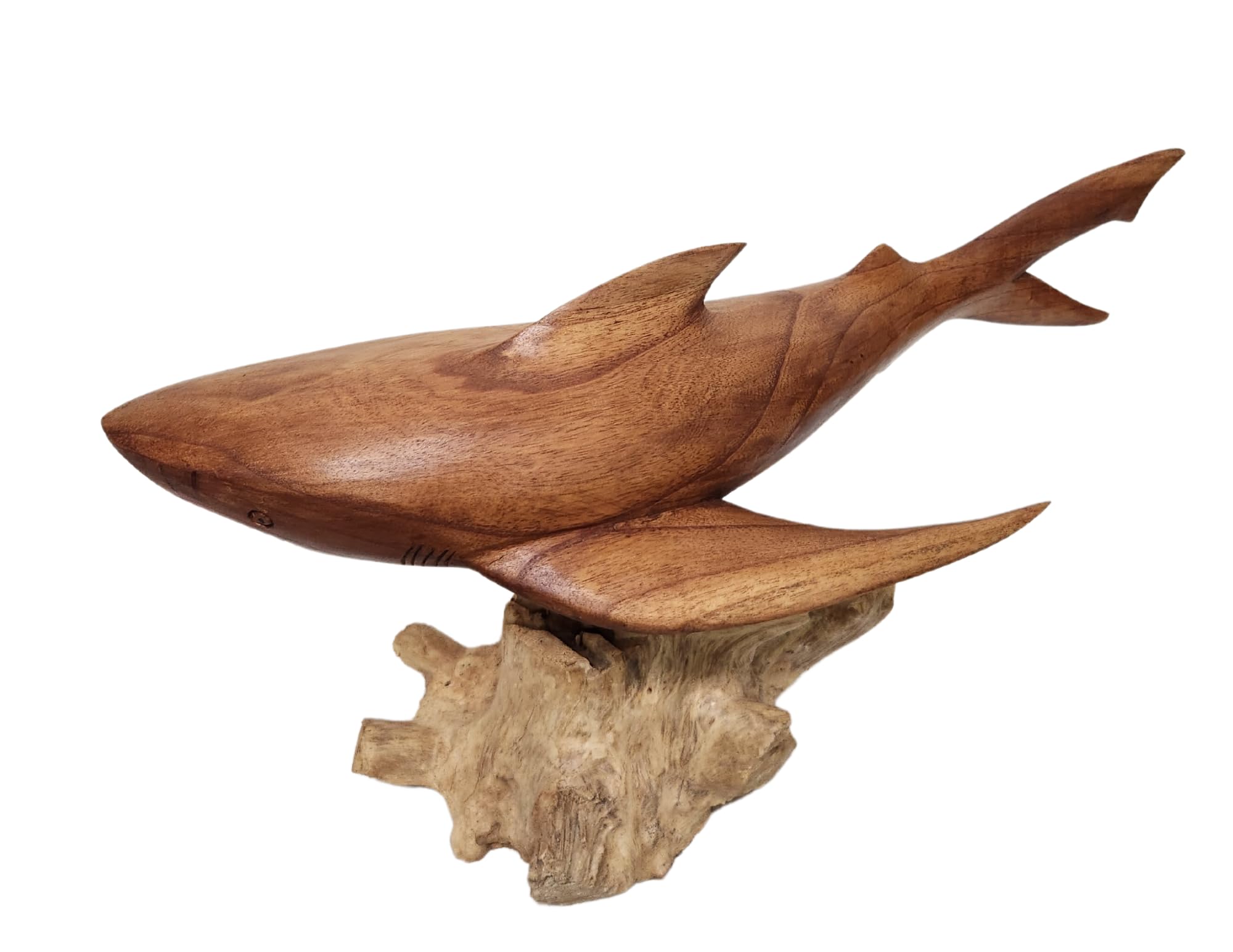 Hand Carved Wooden Shark Sculpture - MACO Shark on Coral Stand - Unique Nautical Ocean Decor for Home, Office, or Beach House - Perfect Gift for Shark Lovers & Marine Theme Enthusiasts