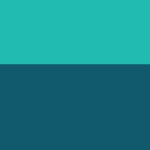 Ocean/Petrol
