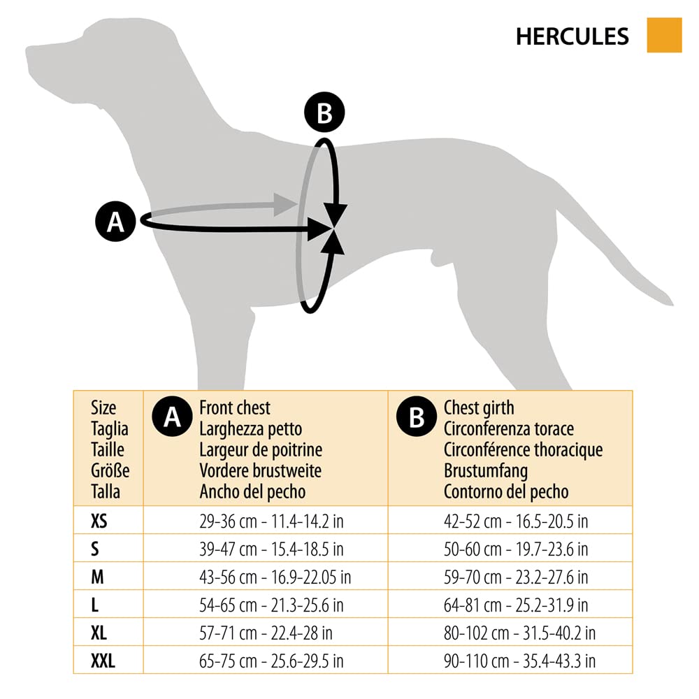 Hercules Extra Large Dog Harness - Adjustable, Padded & Scratchproof for Large Dogs | Reflective Night Visibility with Handle | Perfect for Walking, Hiking & Outdoor Adventures