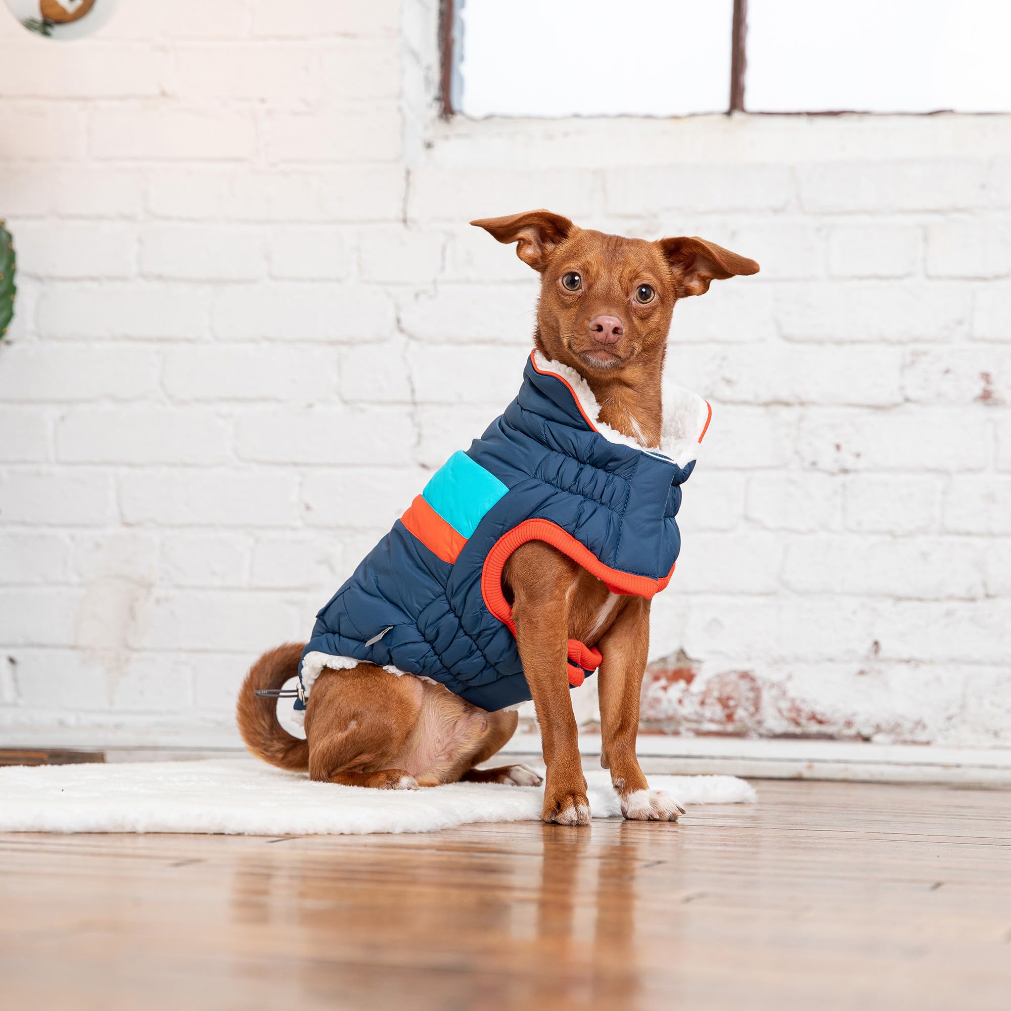 Navy Alpine Dog Puffer Jacket - Warm Winter Coat for Large Dogs - Perfect for Cold Weather Walks & Outdoor Adventures