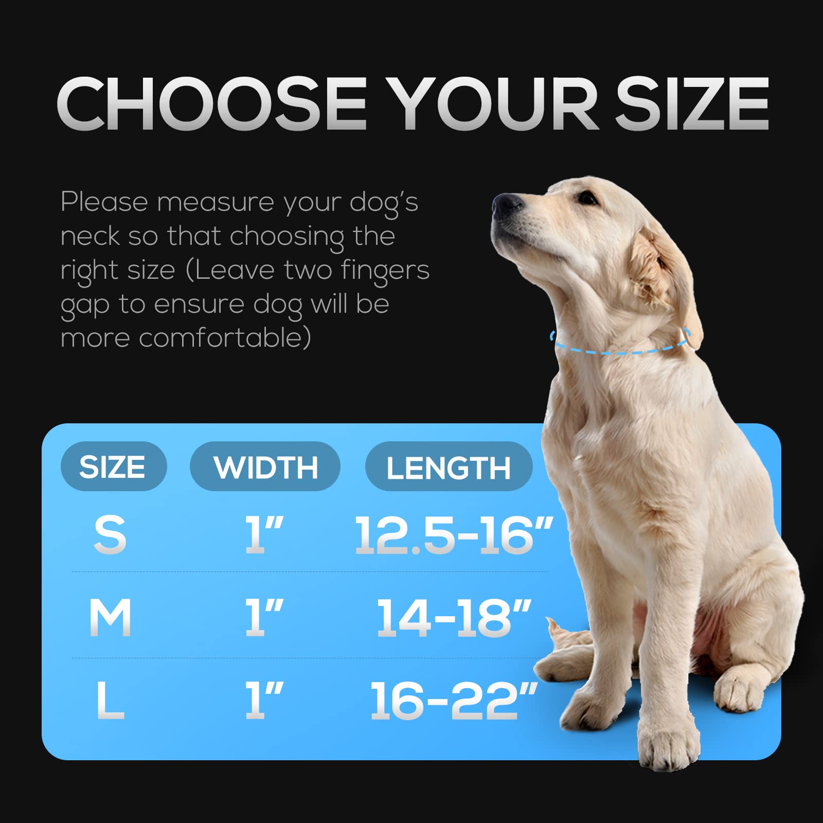 LED AirTag Dog Collar with Light - IPX7 Waterproof Rechargeable Light Up Collar with Apple AirTag Holder for Small Medium Large Dogs | Perfect for Night Walks, Pet Safety & Tracking