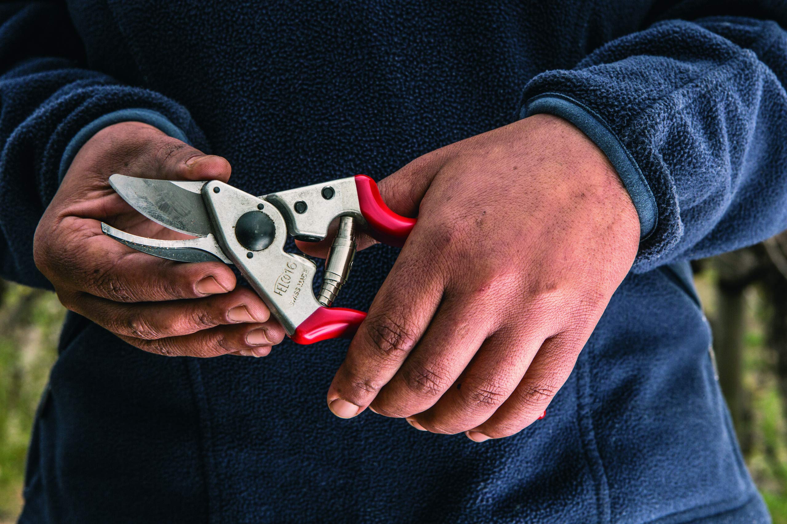 Felco F-16 Left-Handed Pruning Shears - Professional Swiss-Made Garden Pruners with High Carbon Steel Blade | Perfect for Left-Handed Gardeners, Florists & Landscapers | Ideal for Trimming Roses, Shrubs & Delicate Plants