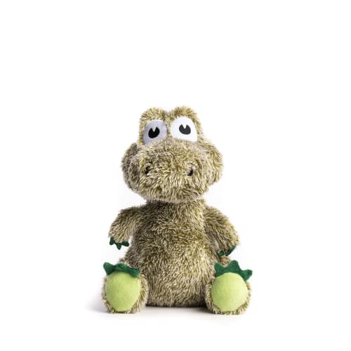 Alligator
