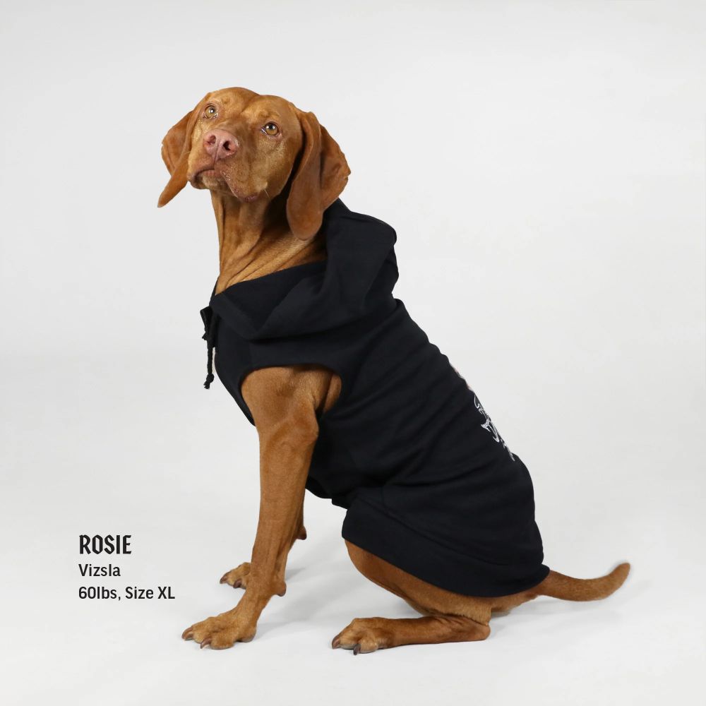 Premium Dog Hoodie - Cozy & Stylish Pet Sweater for Small to Medium Dogs - Perfect for Winter Walks & Outdoor Adventures