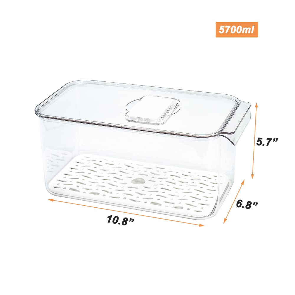Clear 5700ML Refrigerator Organizer Set of 4 - Fridge Food Storage Containers with Lids & Drain Plate for Vegetables, Fruits, Lettuce | Perfect for Meal Prep & Fresh Produce Organization