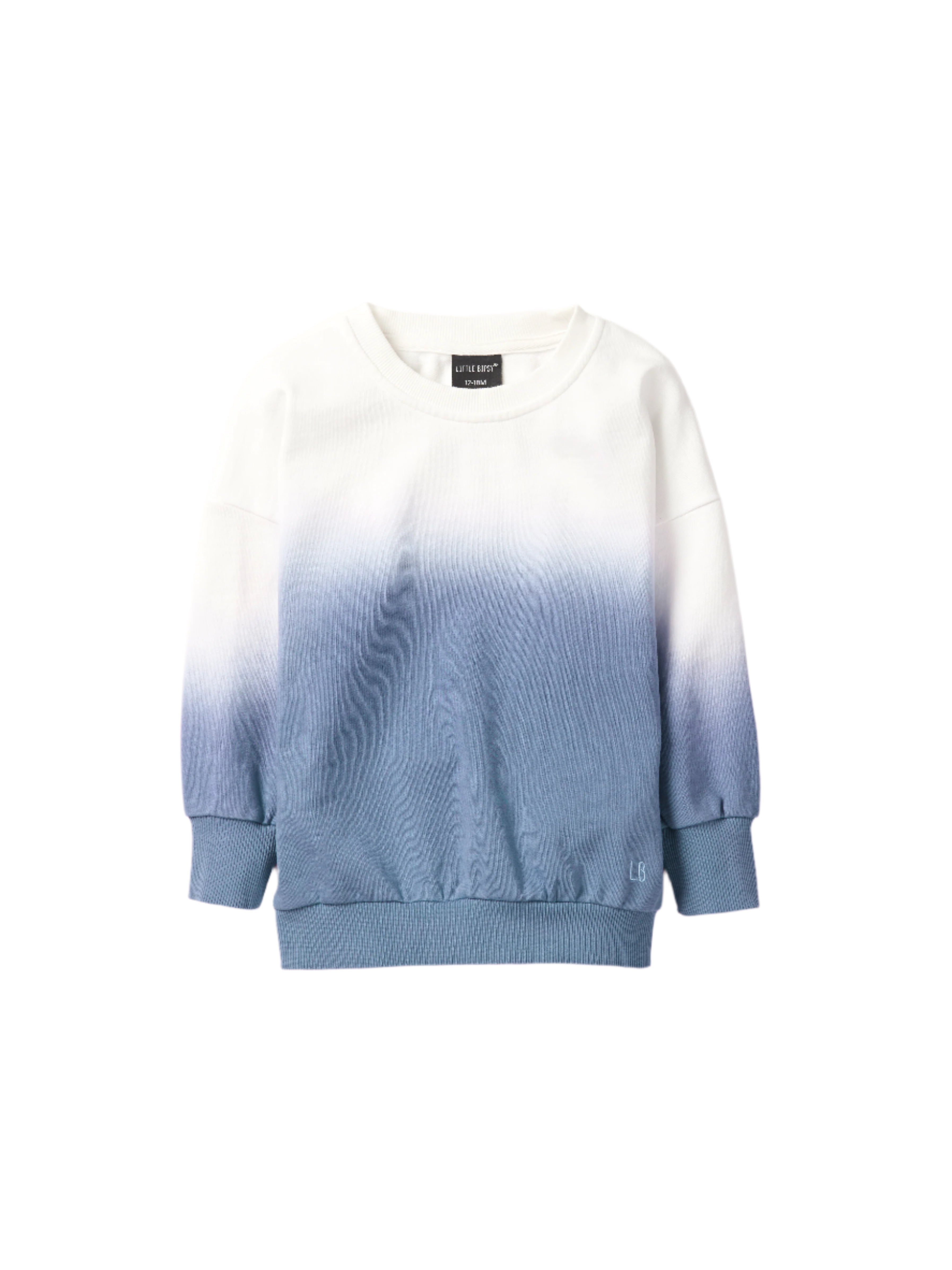 Ombre Lightweight Crewneck Sweatshirt for Women - Soft Blue Gradient Pullover | Perfect for Casual Wear, Layering & Outdoor Activities