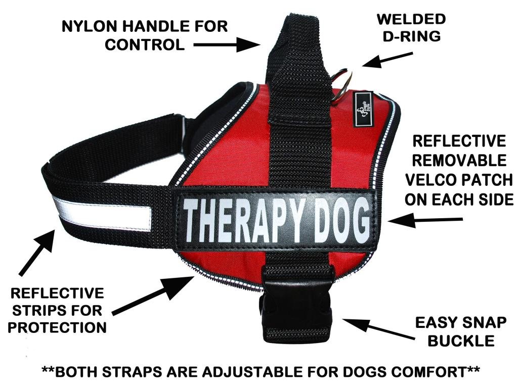 Doggie Stylz Therapy Dog Harness with Removable Saddle Bag Backpack - Adjustable Pet Carrier for Travel, Walking & Outdoor Adventures - Includes 2 Removable Therapy Patches - Perfect for Service Dogs, Emotional Support Pets & Daily Use