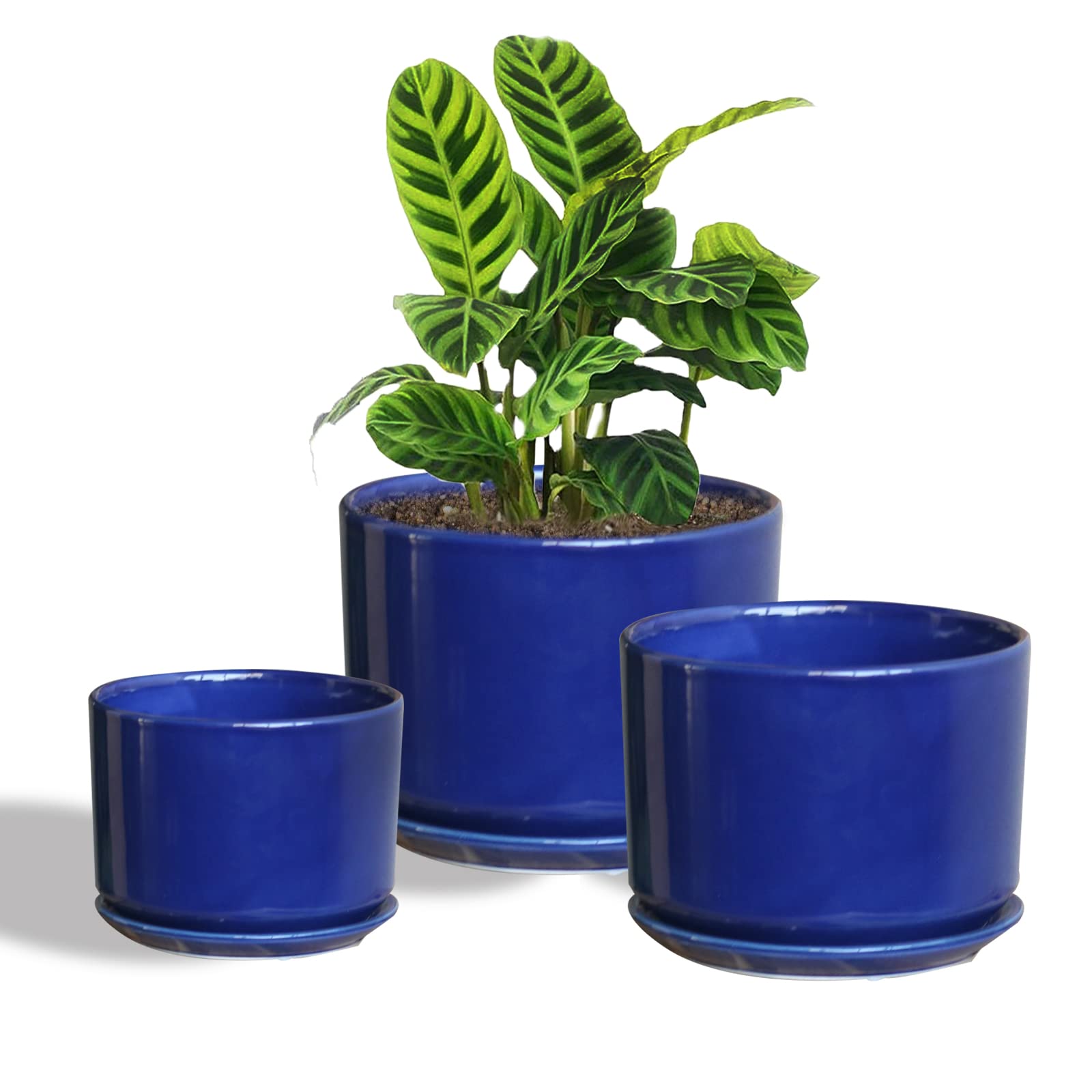 EFISPSS 3-Pack White Ceramic Plant Pots with Drainage Trays - 4,5,6 Inch Round Succulent Planters for Indoor Plants, Home Decor & Office Desk Decorations - Perfect for Cactus, Herbs & Small Flowers