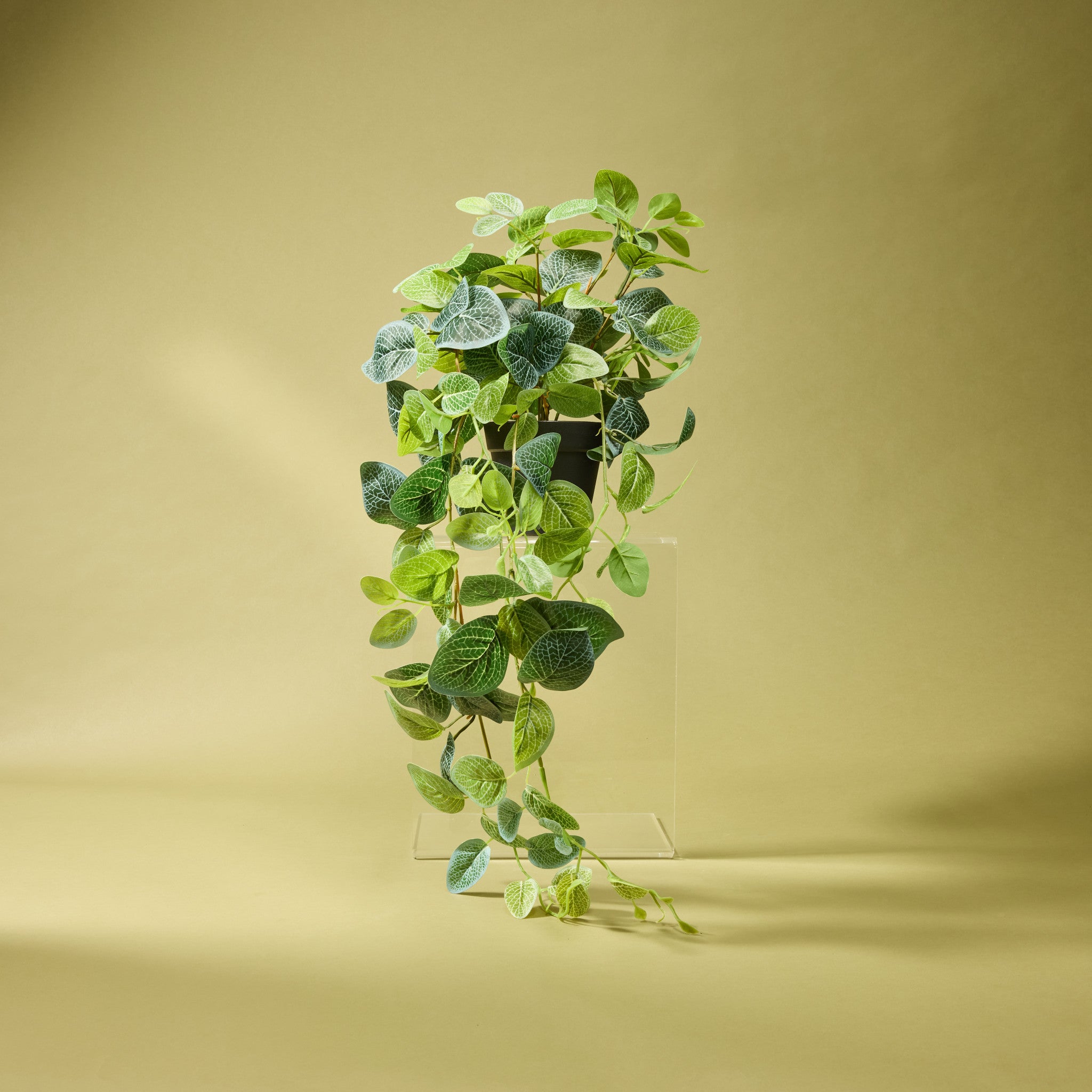82cm Artificial Hanging Fittonia Plant in Decorative Garden Pot - Perfect for Indoor Home Decor, Office Plants, and Balcony Greenery