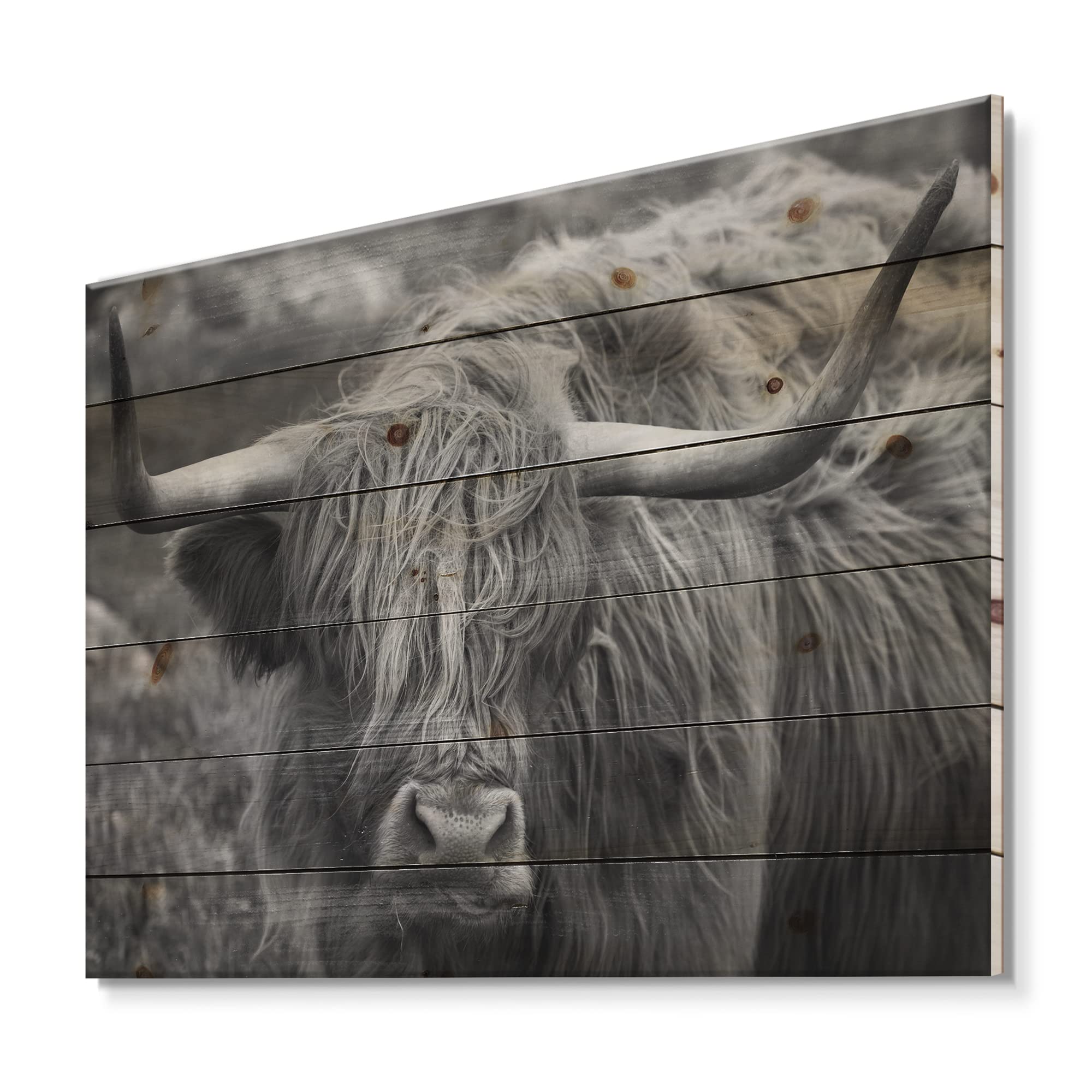 Scottish Highland Cow on Moorland - Farmhouse Wood Wall Decor, Grey Wood Wall Art, Large Animal Wood Panel Printed on Natural Pine - Perfect for Rustic Home, Cabin & Countryside Decor