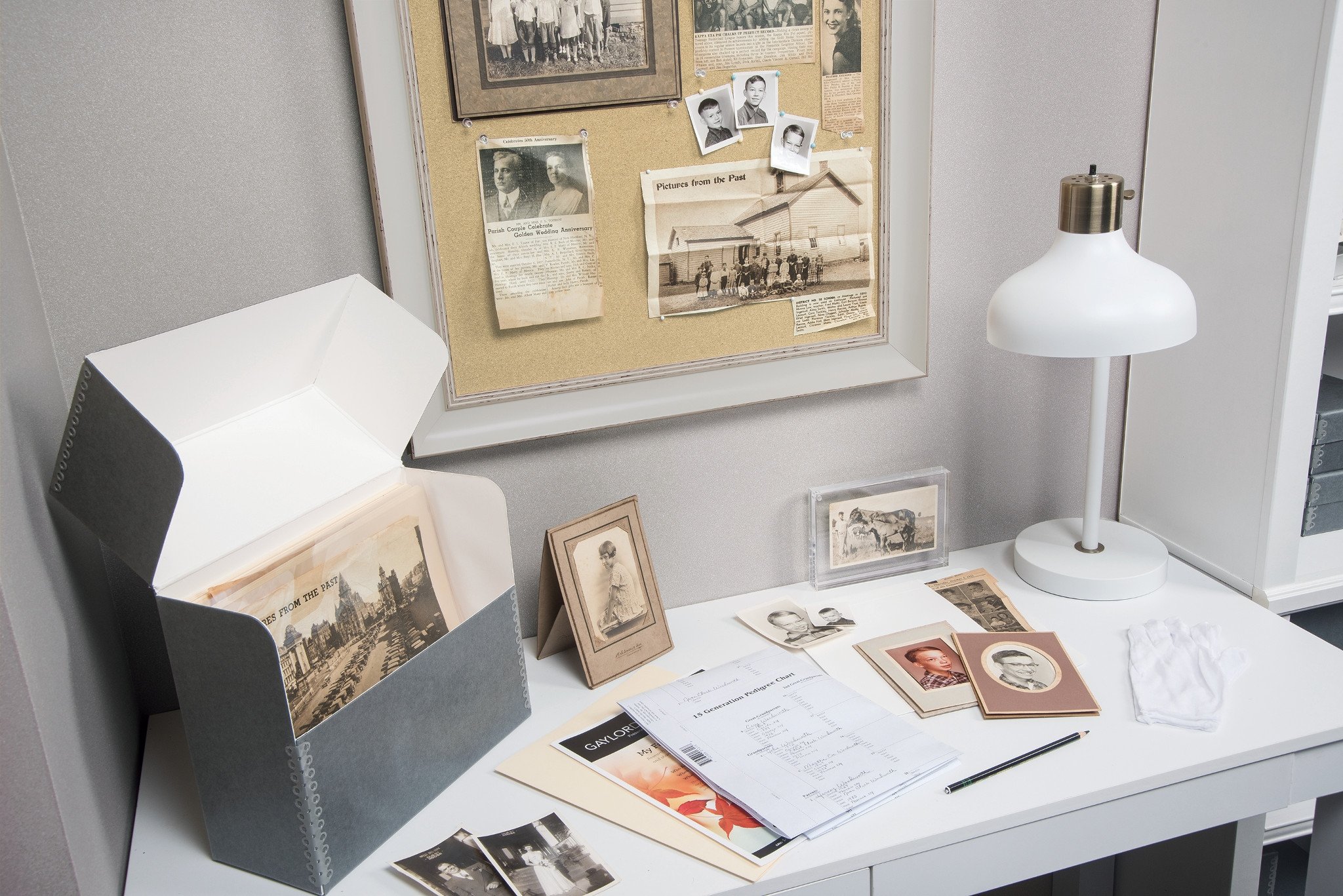 Gaylord Archival Polyester Preservation Sleeves Variety Pack - Acid-Free, Lignin-Free Document Protectors for Photos, Artwork & Important Papers Storage