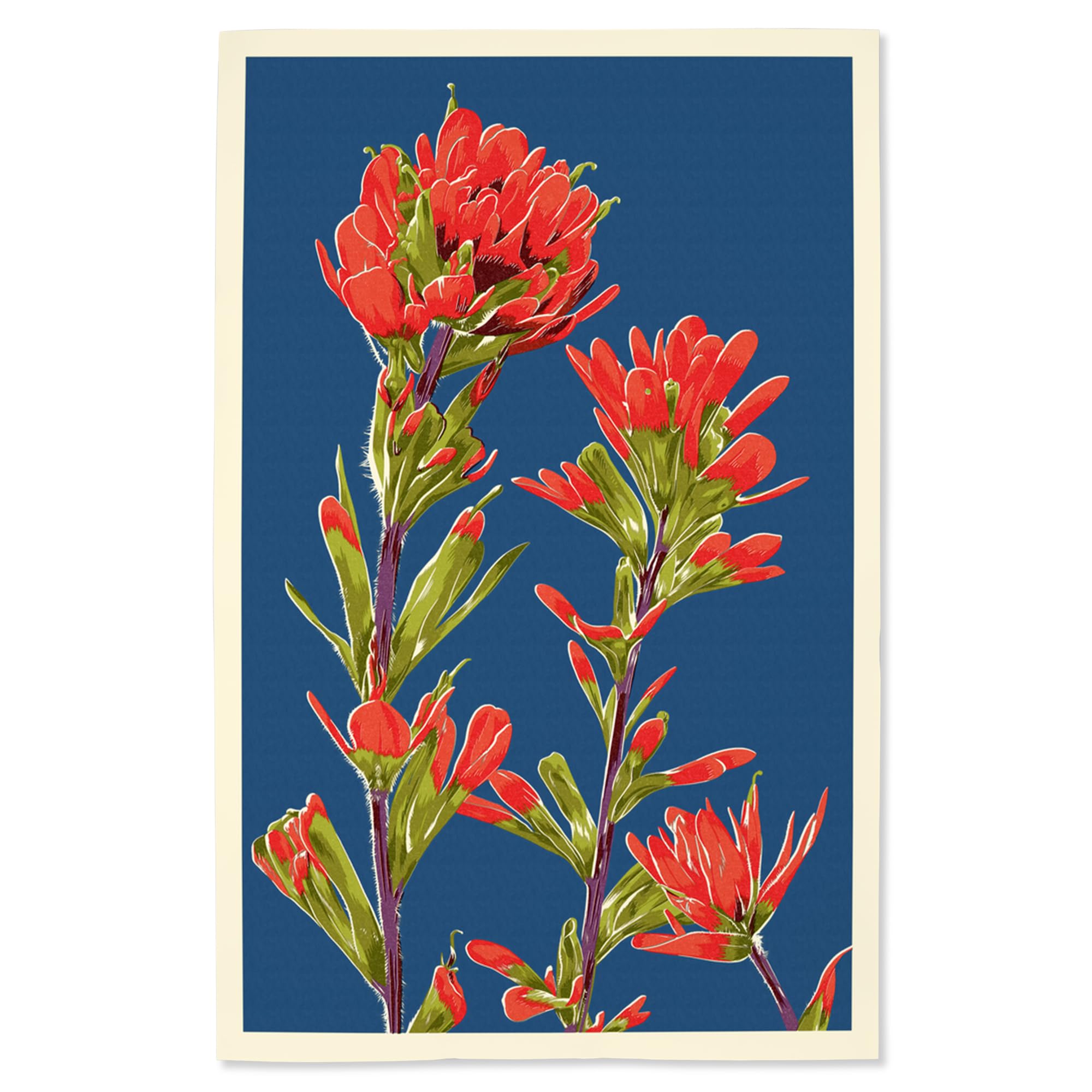 Lantern Press 16x24 Inch Giclee Art Print - Indian Paintbrush Wildflower Wall Decor | Premium Letterpress Fine Art Poster for Living Room, Bedroom & Office