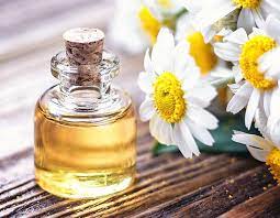 Pure Chamomile Essential Oil for Relaxation & Skin Care - 20ml Bottle | Natural Aromatherapy, Stress Relief & Moisturizing | Perfect for Massage, Diffusers & DIY Beauty
