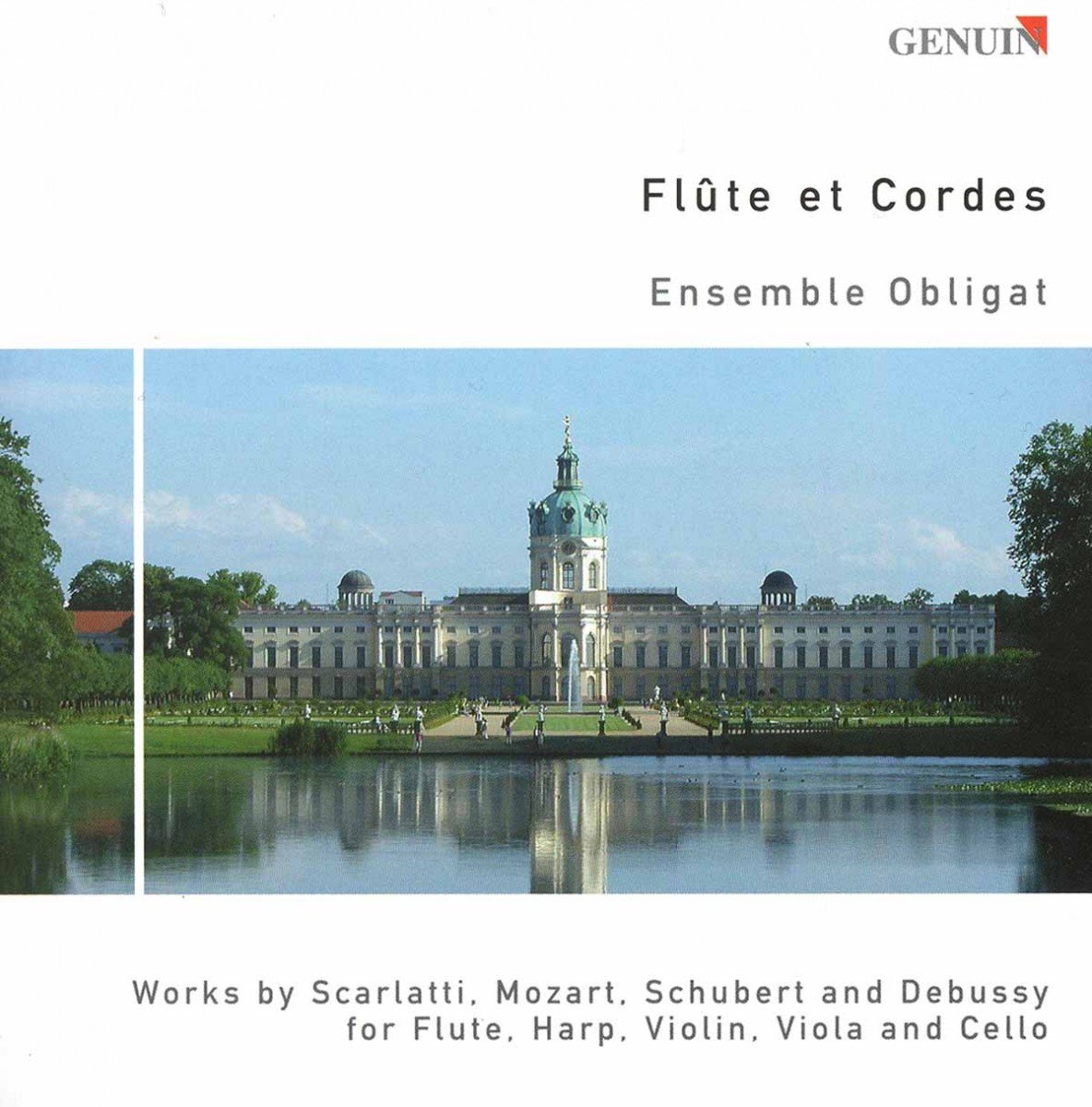 Flute & Strings - Premium Wooden Musical Instrument Set for Beginners & Professionals | Perfect for Home Practice, Performances & Music Classes