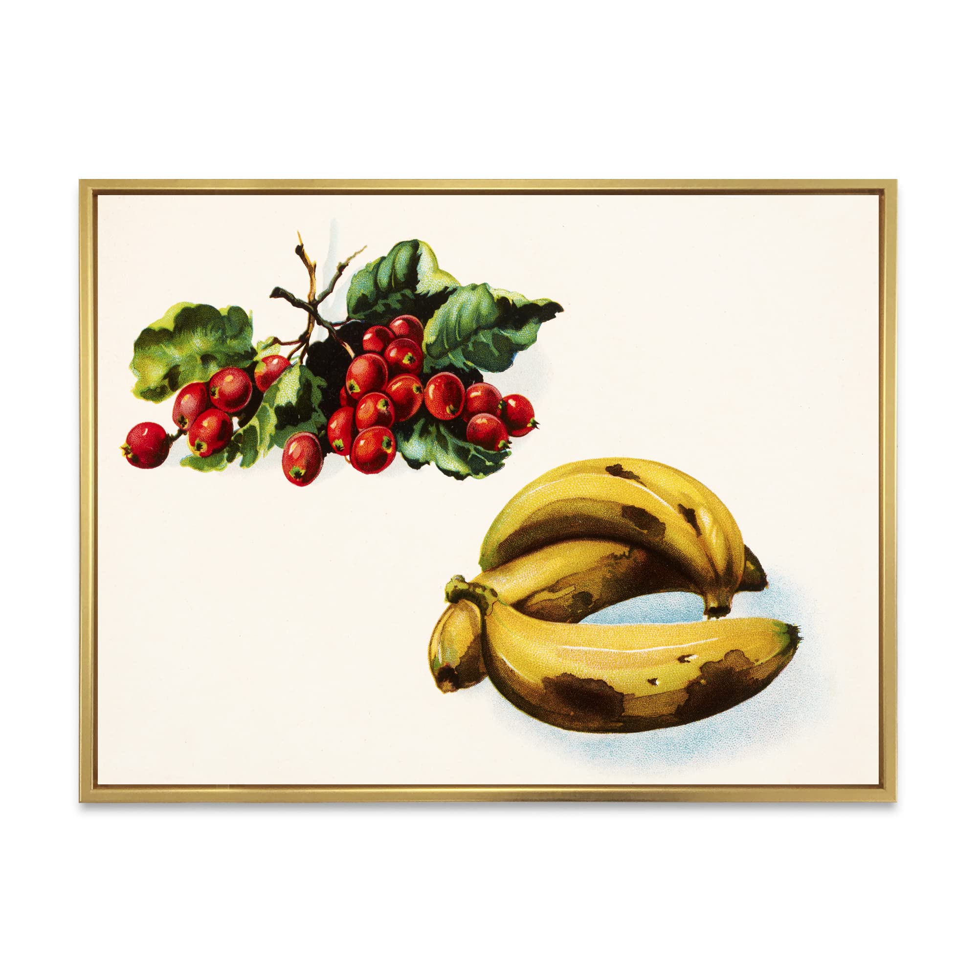 Farmhouse Framed Canvas Wall Art Print - Banana & Red Berries Design for Kitchen, Dining Room & Country Home Decor | DesignQ Modern Botanical Painting