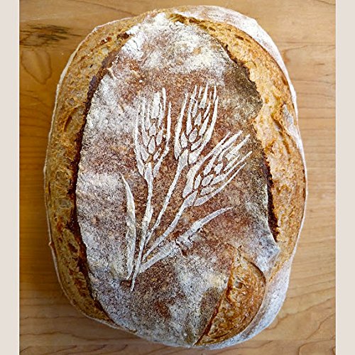 Breadtopia Bread Stencils Set of 5 - Professional Baking Tools for Decorating Bread, Cakes & Pies - Perfect for Home Bakers, DIY Desserts & Holiday Baking