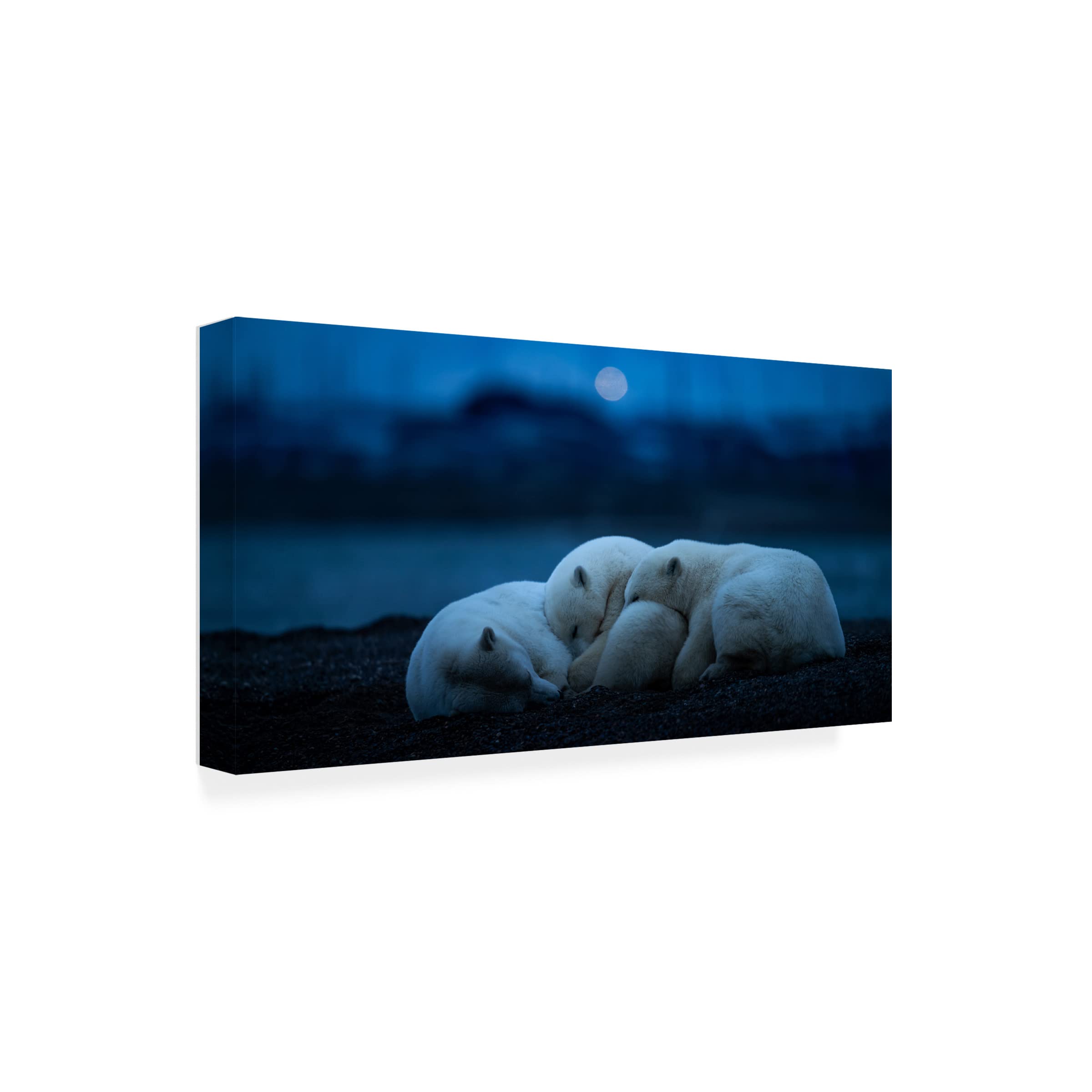 Trademark Fine Art 'Dream' Canvas Wall Art by Hung Tsui - Modern Abstract Painting for Living Room, Bedroom & Office Decor